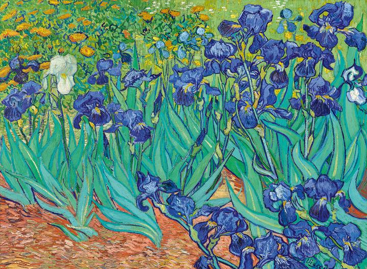 Actual product image Bluebird Puzzle 3000 Irysy, Vincent van Gogh, 1889 (3000 pieces)