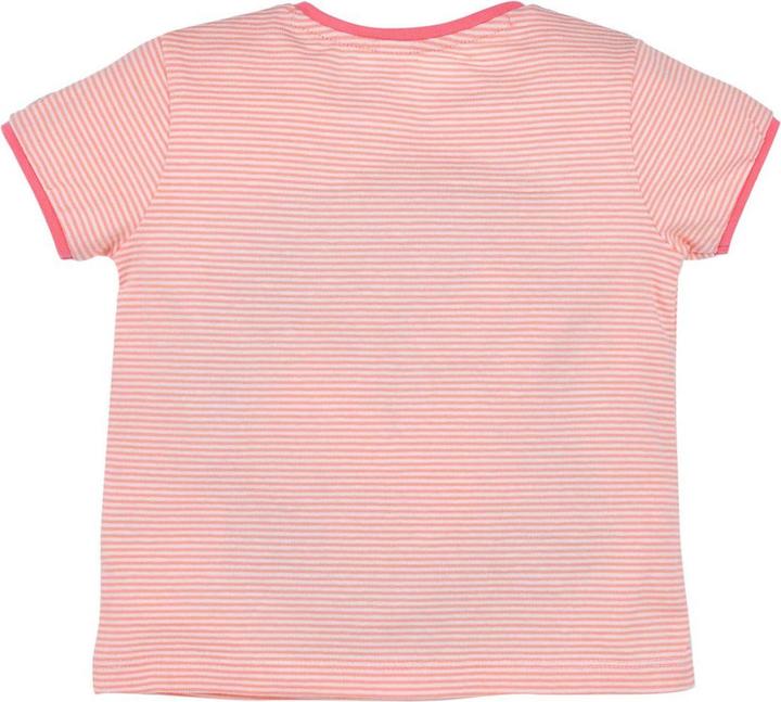Actual product image Bondi T Shirt half sleeve curled parrot (68)