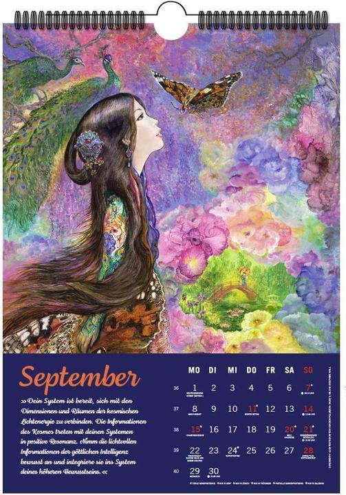 Produktbild PAVLINA KLEMM'S PLEJADENKALENDER 2025. Enthält zu Motiven von Josephine Wall u.a. die Affirmationen (297 x 420 mm, Deutsch)