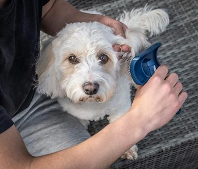 Produktbild Mikki Doodle Grooming Kit Met Kam En Slickerborstel (Hund)