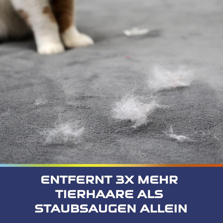 Image du produit Vanish Expert en animaux domestiques Mousse d'entretien pour tapis