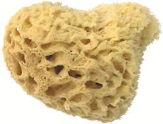 Produktbild Herba Echter Naturschwamm