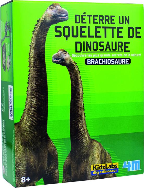 4M Dinosaur Excavation Brachiosaurus