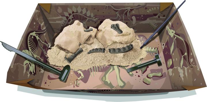 Actual product image 4M Dinosaur Excavation Brachiosaurus