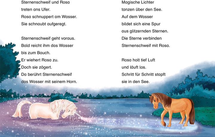 Produktbild Kosmos Sternenschweif, Bücherhelden 1. Klasse, Der geheime See (Deutsch, Linda Chapman, Anna-Lena Kühler, 2023)