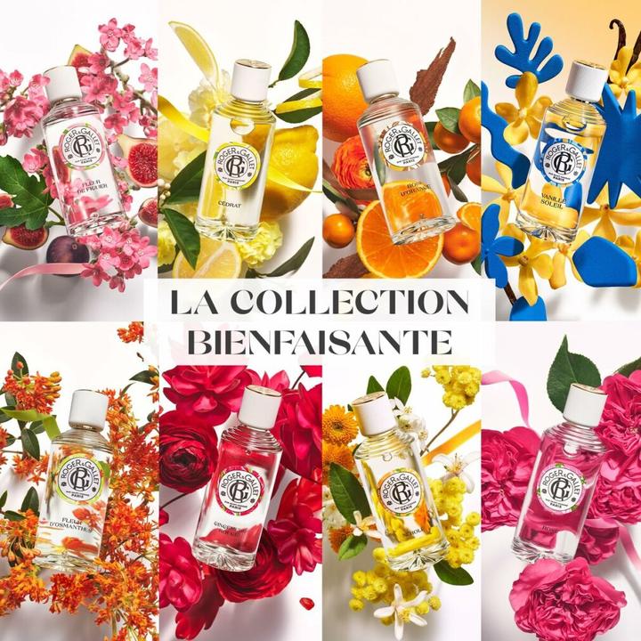 Produktbild Roger & Gallet Rose Parfum Solide (Eau de Parfum)