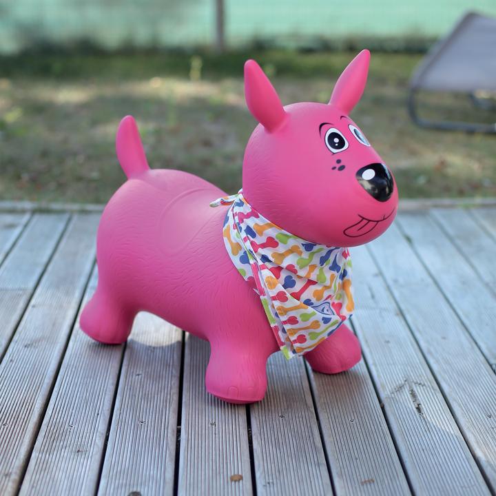 Actual product image LUDI Bouncing dog