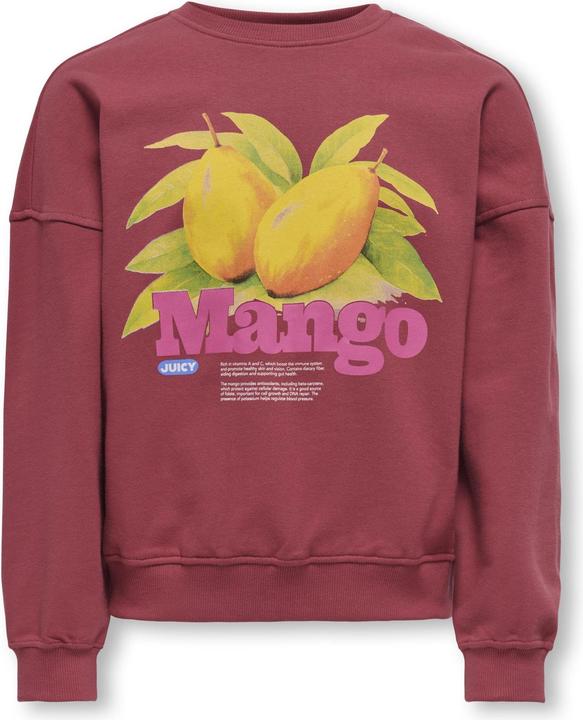 Immagine prodotto Only KOGPHILEA Sweatshirt Sweatshirt (146)