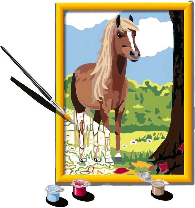Actual product image Ravensburger Cheval et nature