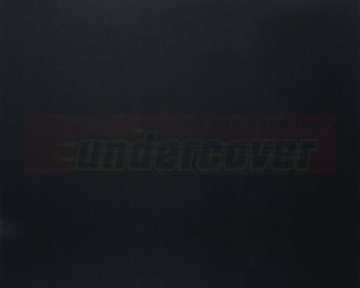Actual product image Foliatec Tinted film