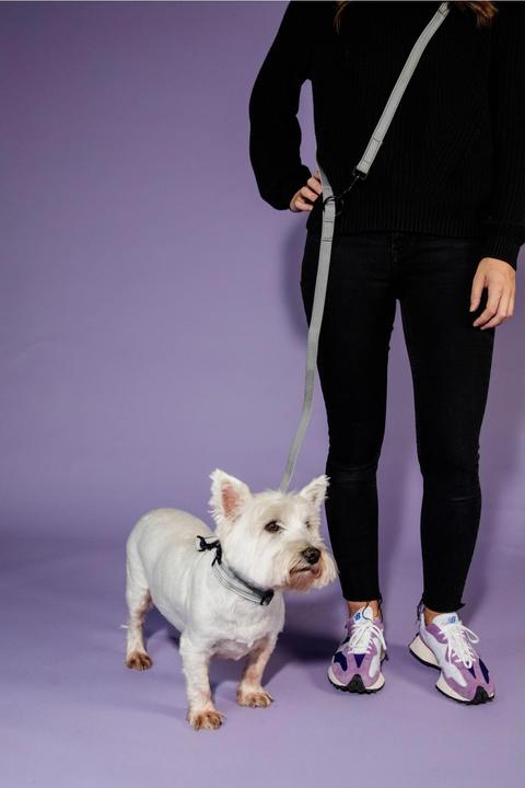 Produktbild Kentucky Dogwear Hundehalsband Reflective (S, Hund, Allgemein)