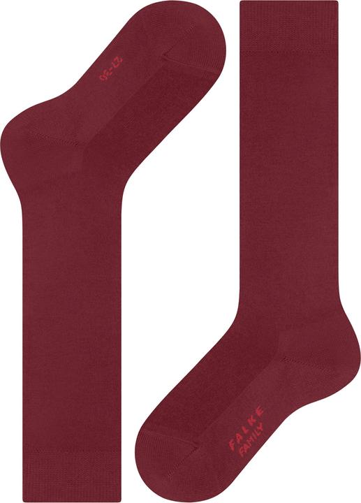 Immagine prodotto Falke Family KH (19 - 22)