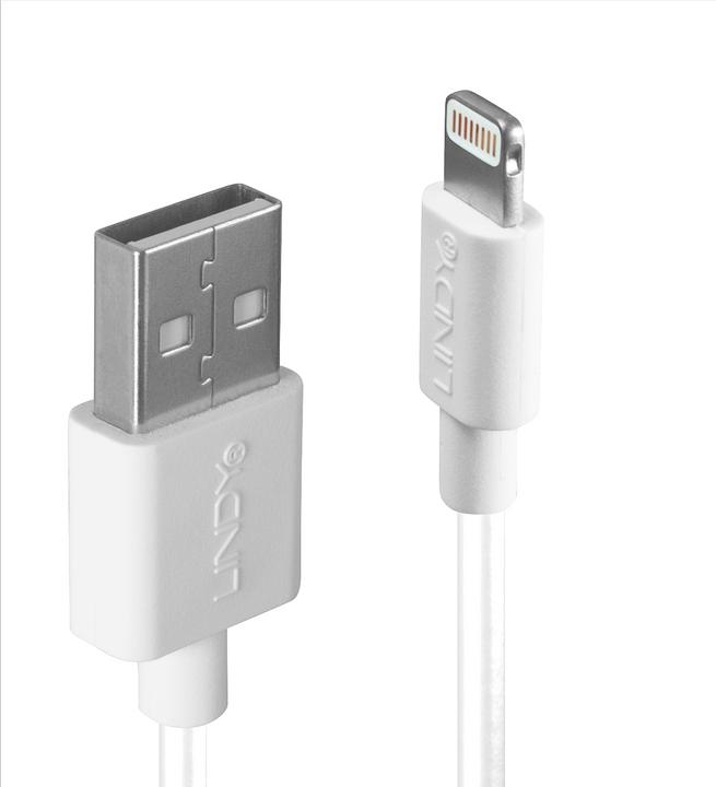 Produktbild Lindy Lade- und Sync-Kabel Apple MFi (0.50 m, USB 2.0)