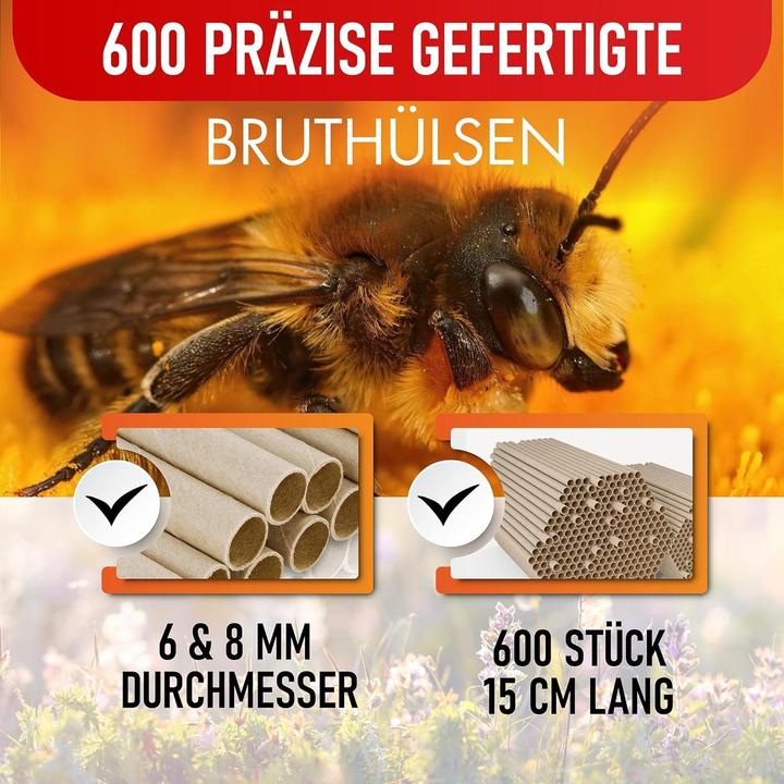 Actual product image Beesi Nesting pods (Wild bees)