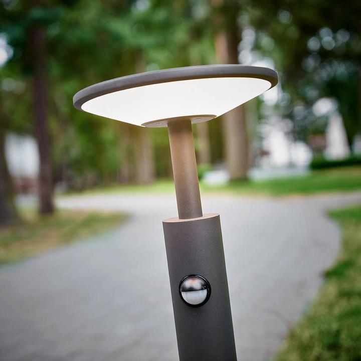 Image du produit Lucande Fenia LED Lampe de jardin H60 w/Sensor Anthracite (900 lm, IP54)