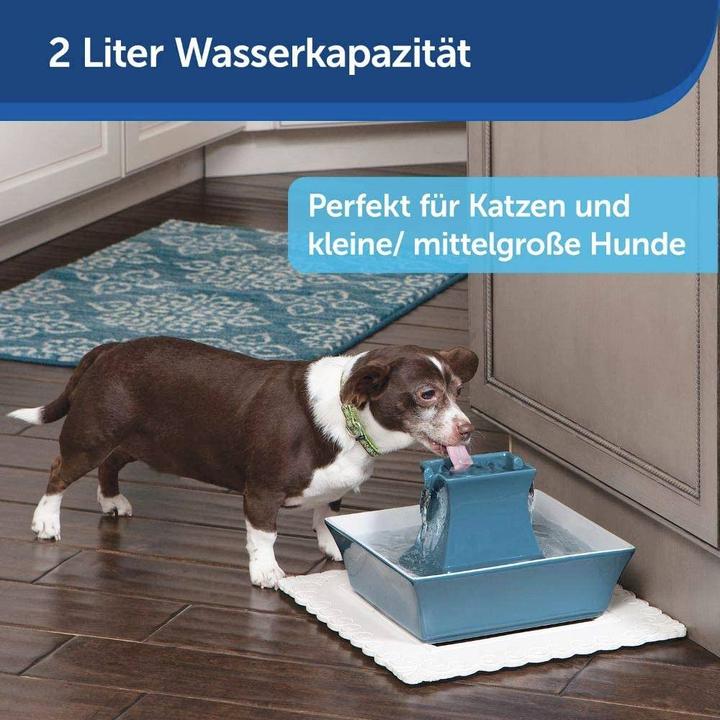 Image du produit PetSafe Pagoda (2.10 l)