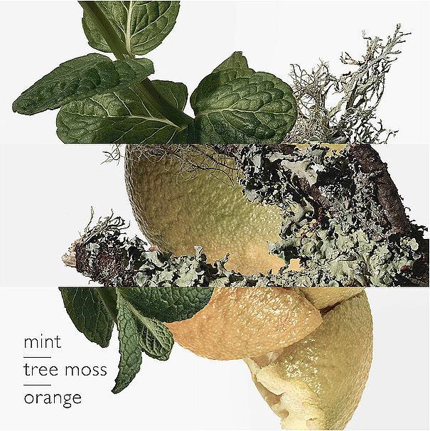 Produktbild Hermès Eau d'orange verte (Eau de Cologne, 100 ml)