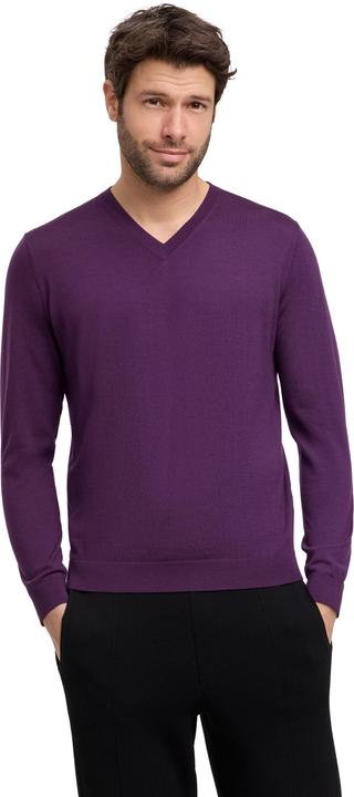 Falke Herren (M)