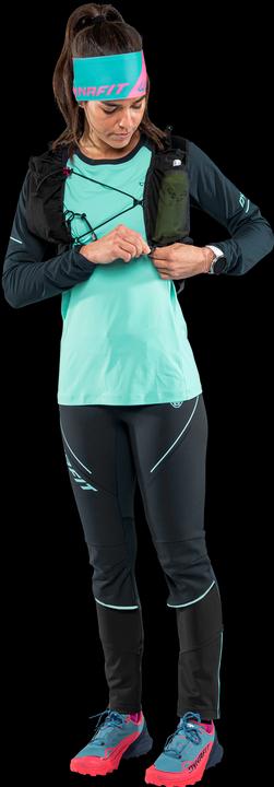Produktbild Dynafit Alpine Pro Langarmshirt (42, XL)