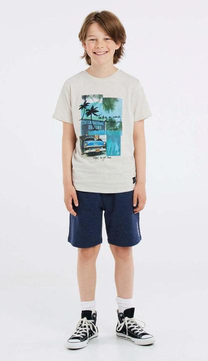 Actual product image Protest Jogging Shorts Prtrolan Jr (140)