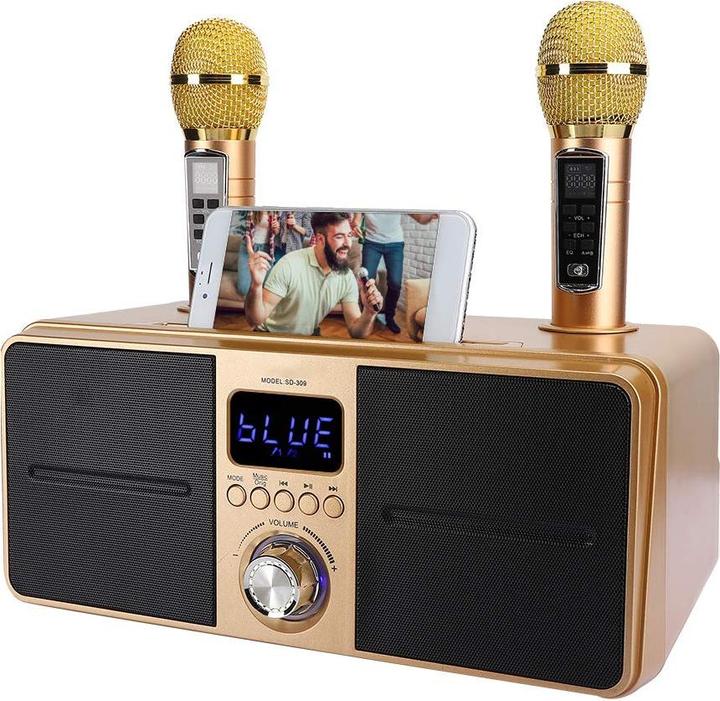 Produktbild Bewinner1 Karaoke Lautsprecher, golden