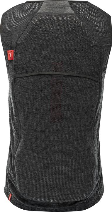 Actual product image ALPINA SPORTS Prolan (L, Back protector, Unique specimen)