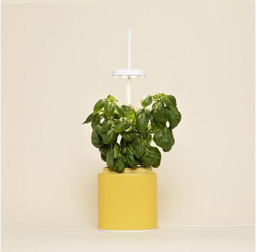 Image du produit Prêt à Pousser Pot pour herbes aromatiques Nano, Mimosa Yellow (13.50 cm)