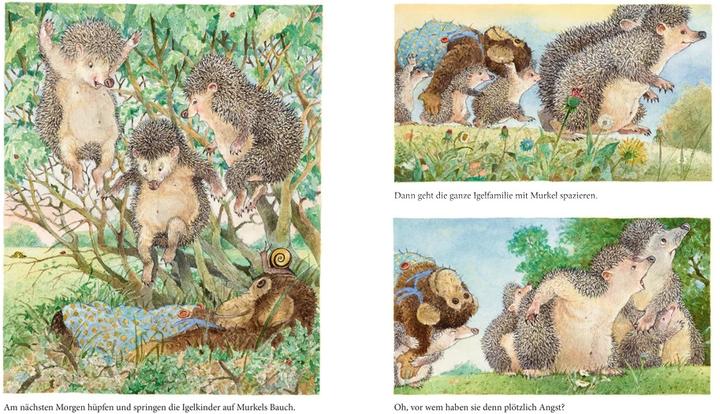 Produktbild Murkel ist wieder da (Deutsch, Ingrid Schubert, Dieter Schubert, 2021)
