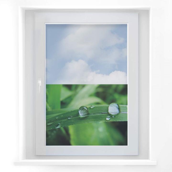 Image du produit Trenddeko Nature 4 (90 x 68 cm)