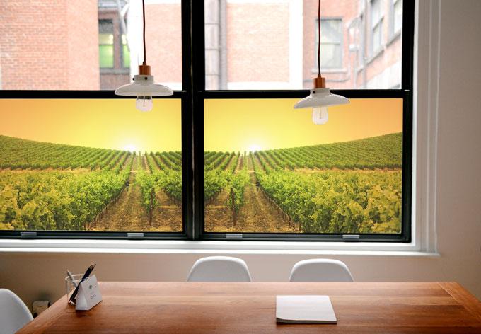 Produktbild Trenddeko Sonnenuntergang im Weinberg (60 x 60 cm)