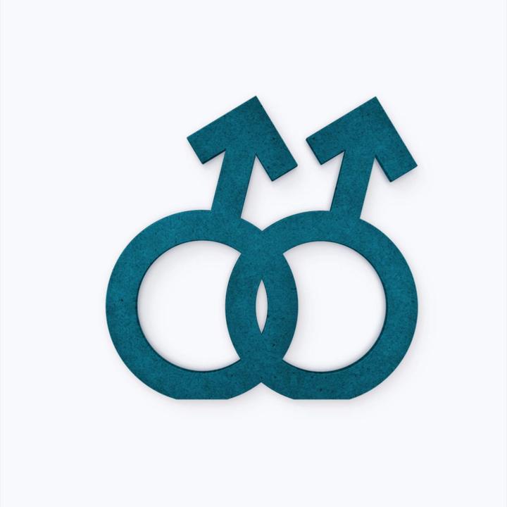 Produktbild Trenddeko Gender-Symbol Homo Männer (16 x 15 cm)