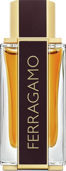 Salvatore Ferragamo Ferragamo Spicy Leather (Eau de Parfum, 100 ml)