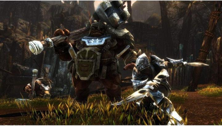 Immagine prodotto THQ Kingdoms of Amalur - Reckoning Definitive Edition (Xbox One X, Xbox Series X, IT, FR)