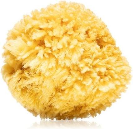 Immagine prodotto Caribbean Sea Natural Sponge 14-16 cm