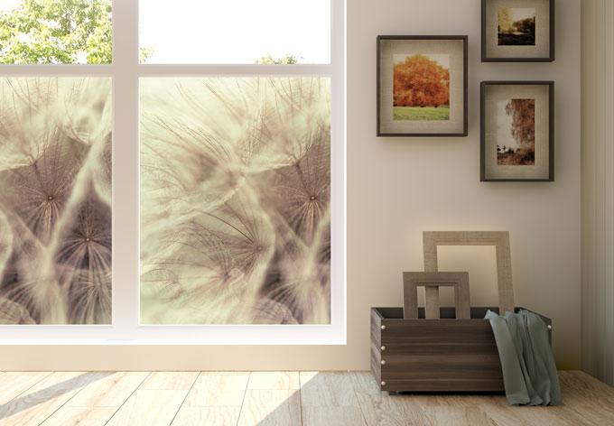 Produktbild Trenddeko Pusteblume Close up (40 x 40 cm)