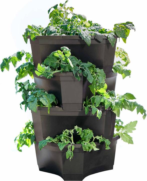 Image du produit Romberg Tour de plantation et de pommes de terre avec fonction anti-goutte - Pyramide de plantation de 54L