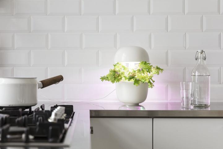 Actual product image Plantui Smart Garden 3e (Seedlings)