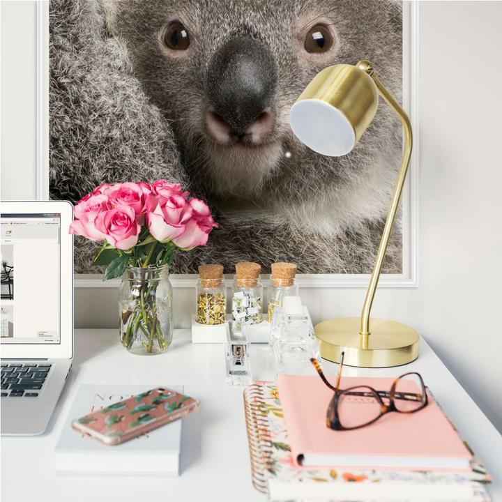 Produktbild Trenddeko Cuddly Koala (30 x 30 cm)