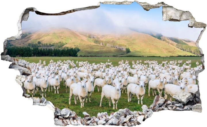 Produktbild Trenddeko 3D - Schafherde in Neuseeland (60 x 36 cm)