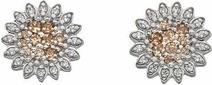 Image du produit Hot Diamonds Boucles d'oreilles en argent Emozioni Spirzzare EE032
