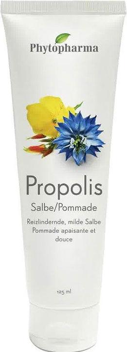 Image du produit Phytopharma Pommade à la propolis 12 (Crème pour le corps, 125 ml)