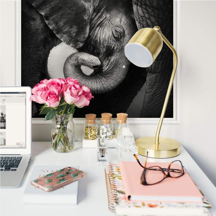 Produktbild Trenddeko Das Elefantenbaby (50 x 50 cm)