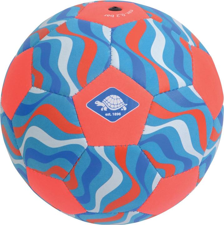 Schildkröt Football de plage