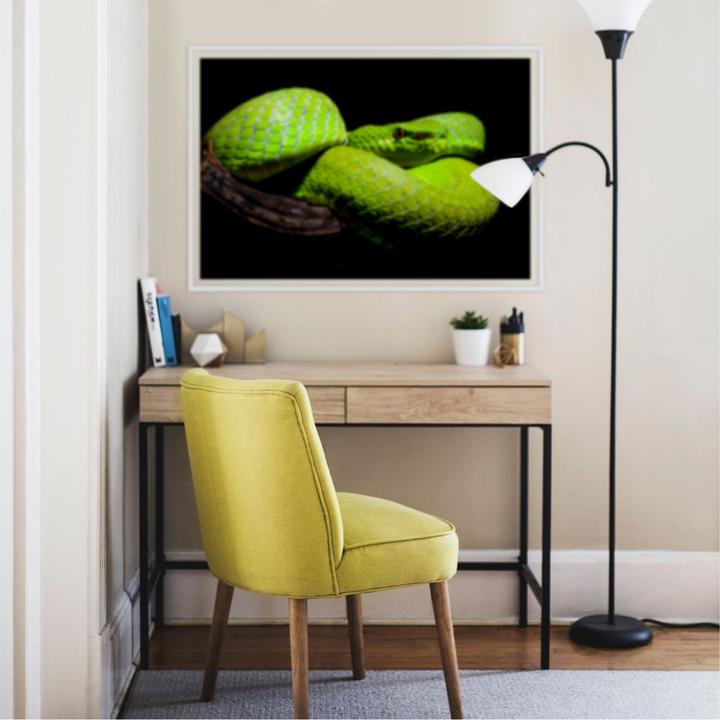 Produktbild Trenddeko Hakonsen - Die grüne Pit-Viper (120 x 80 cm)