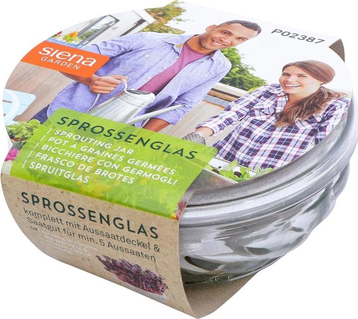 Siena Garden Sprout glass