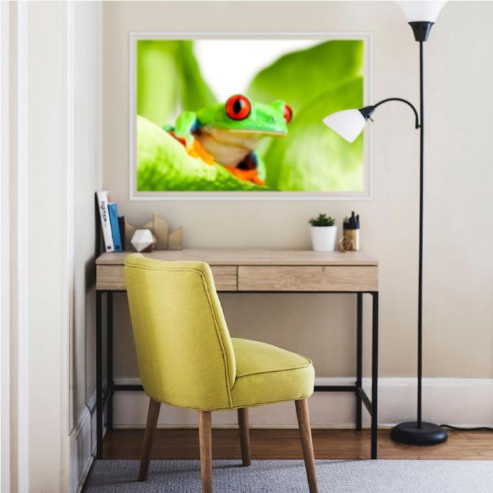 Produktbild Trenddeko Knallfrosch (60 x 40 cm)