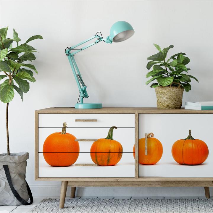 Produktbild Trenddeko Kürbissorten (100 x 40 cm)