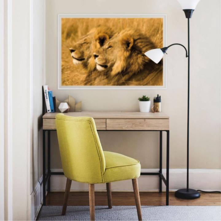 Produktbild National Geographic NG Löwen Paar (150 x 100 cm)