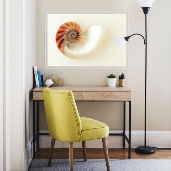 Produktbild Trenddeko Nautilus (45 x 30 cm)