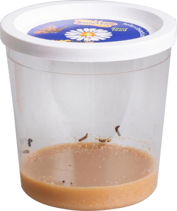 Actual product image HCM Kinzel Pre-Paid Butterfly Garden